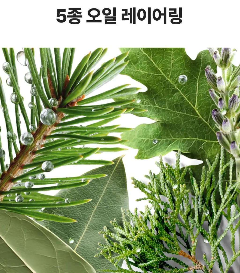 [NEW] 리슬립 에어 케어 농축 스프레이(앰플형) 315ml 상세페이지 22